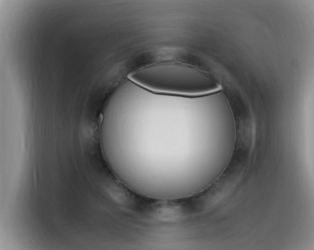 X0000115600601200911171130