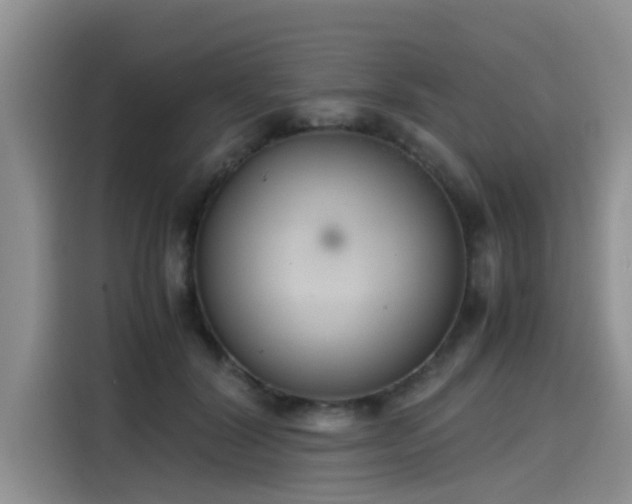 X0000115600604200911171129