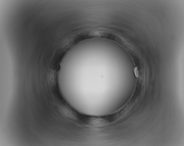 X0000115600605200911171129