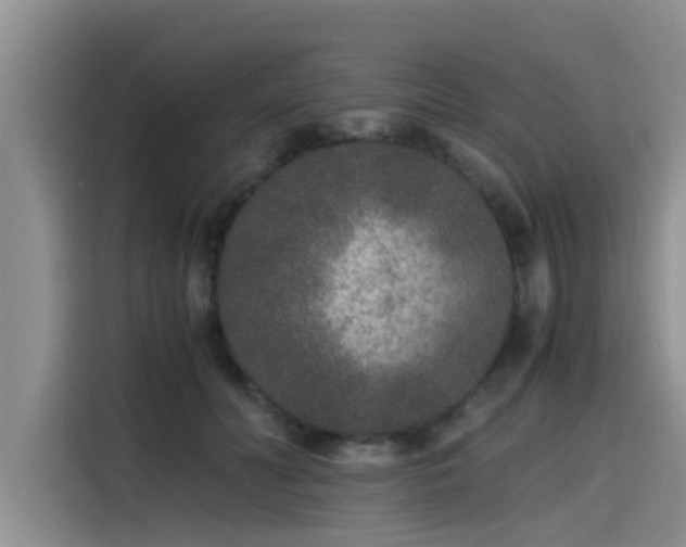 X0000115600606200911171129