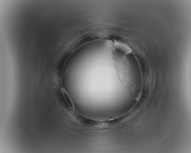 X0000115600609200911171129