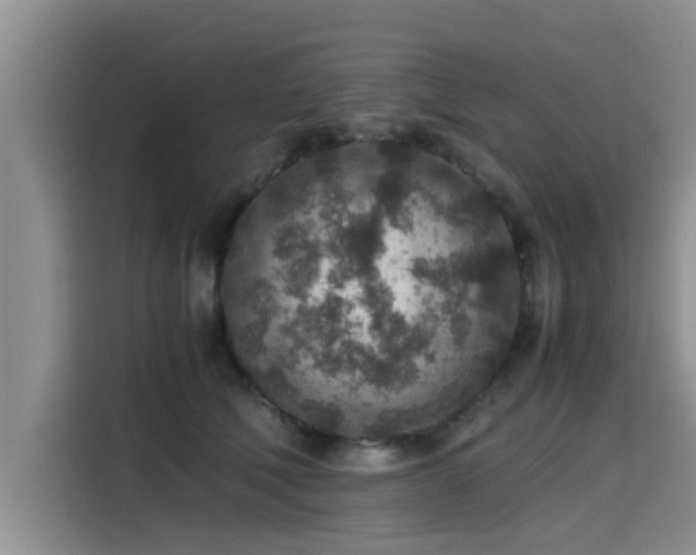 X0000115600610200911171129