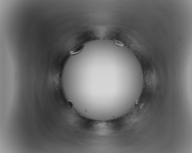 X0000115600611200911171129