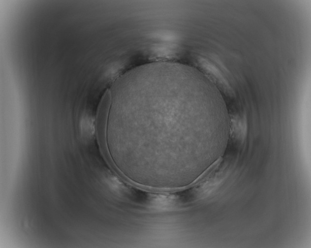 X0000115600621200911171129