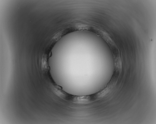 X0000115600622200911171129