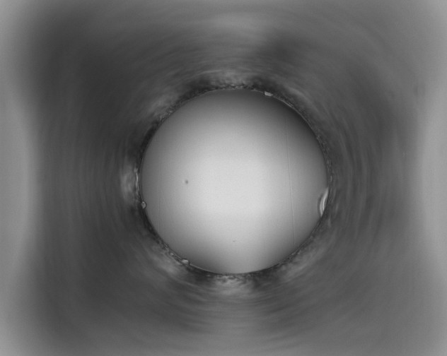 X0000115600624200911171129