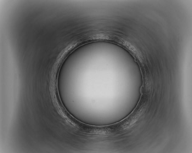 X0000115600625200911171129