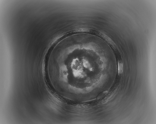 X0000115600627200911171129