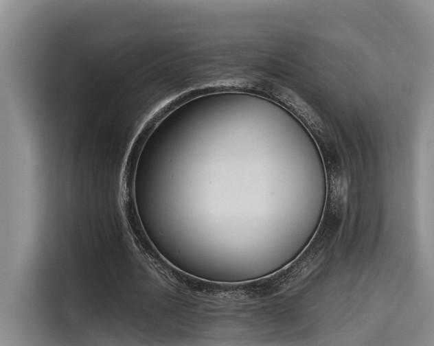 X0000115600628200911171129