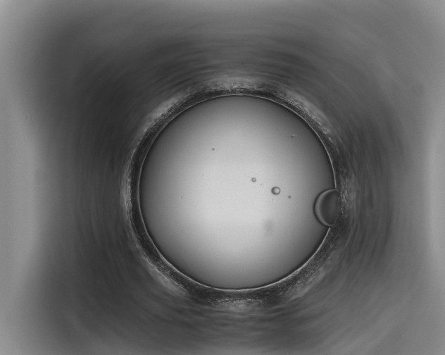 X0000115600629200911171129