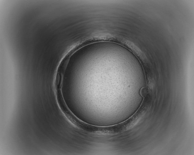 X0000115600630200911171129