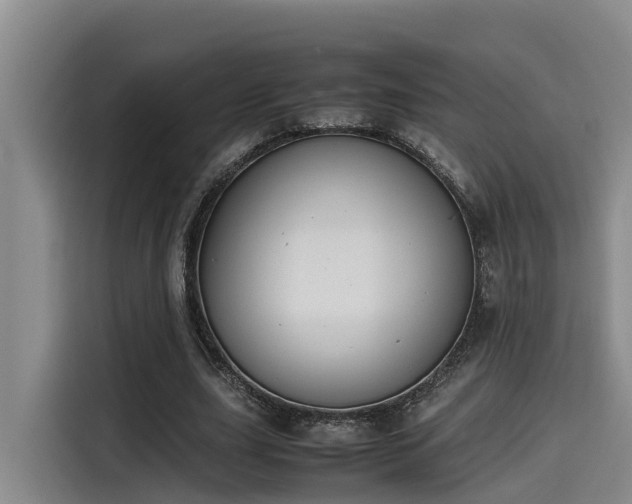 X0000115600631200911171129