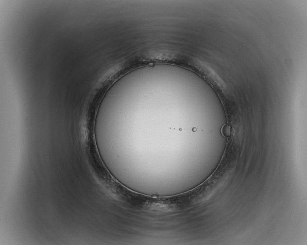 X0000115600635200911171129