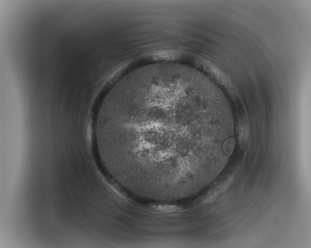 X0000115600637200911171129