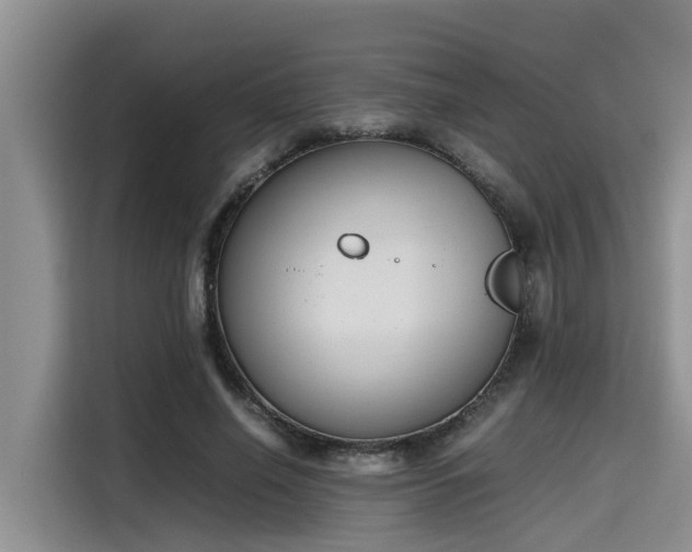 X0000115600638200911171129