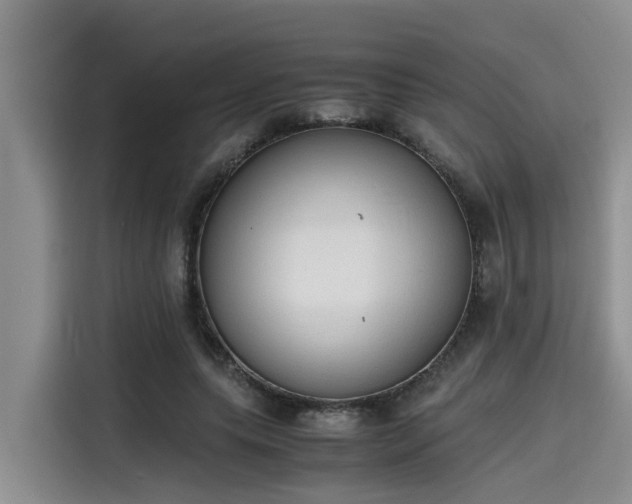 X0000115600639200911171129