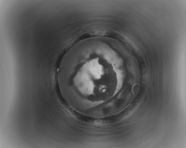 X0000115600641200911171129