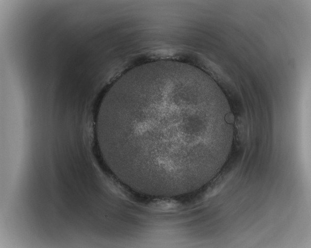 X0000115600642200911171129