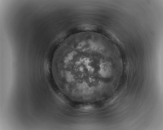 X0000115600643200911171129