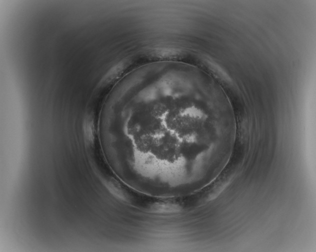 X0000115600644200911171129