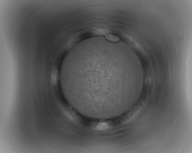 X0000115600647200911171129