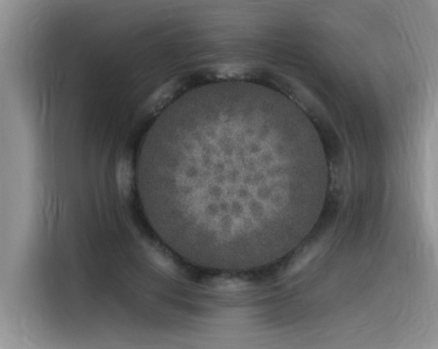 X0000115600648200911171129