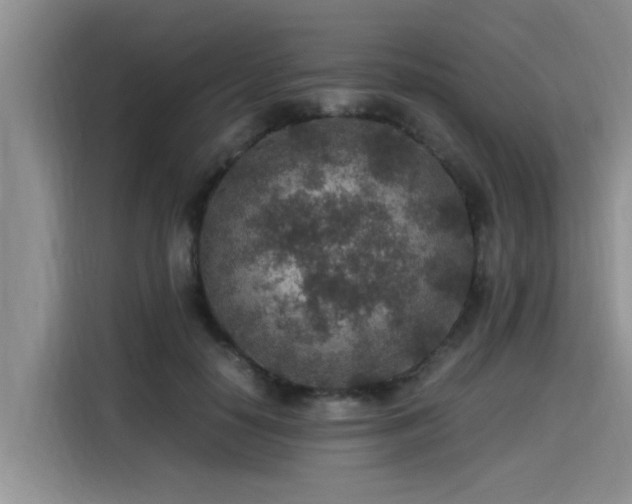 X0000115600650200911171129