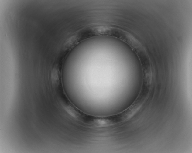 X0000115600654200911171129