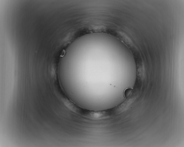 X0000115600662200911171129