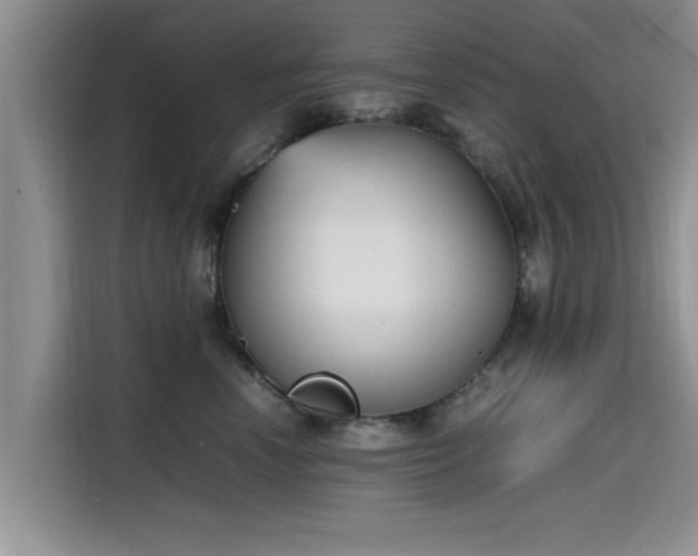 X0000115600666200911171129