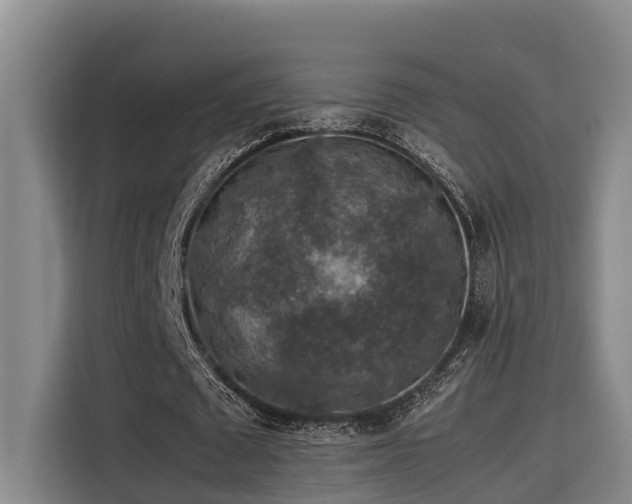 X0000115600673200911171129