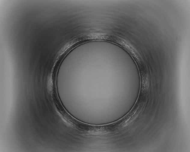 X0000115600674200911171129