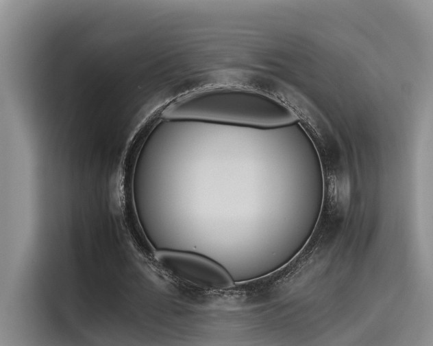 X0000115600676200911171129