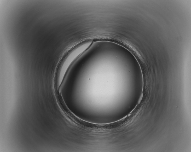 X0000115600677200911171129