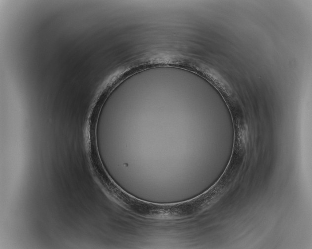 X0000115600678200911171129