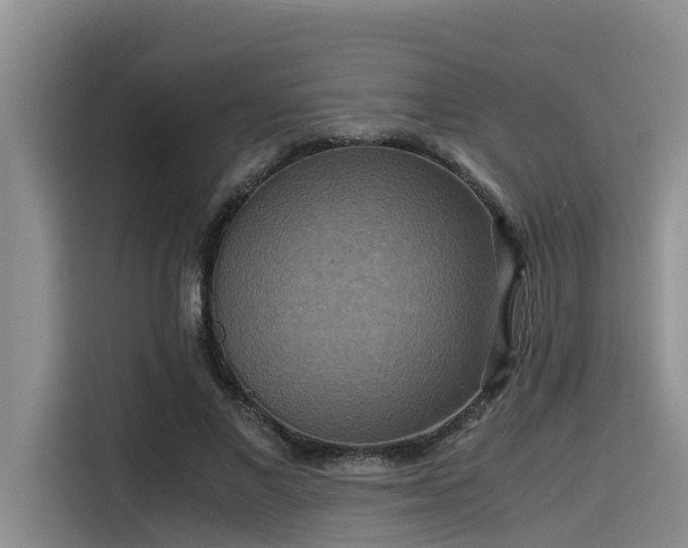 X0000115600685200911171128