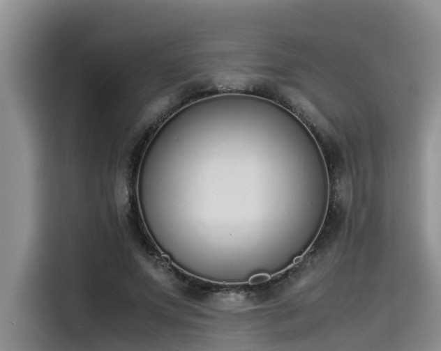 X0000115600687200911171128