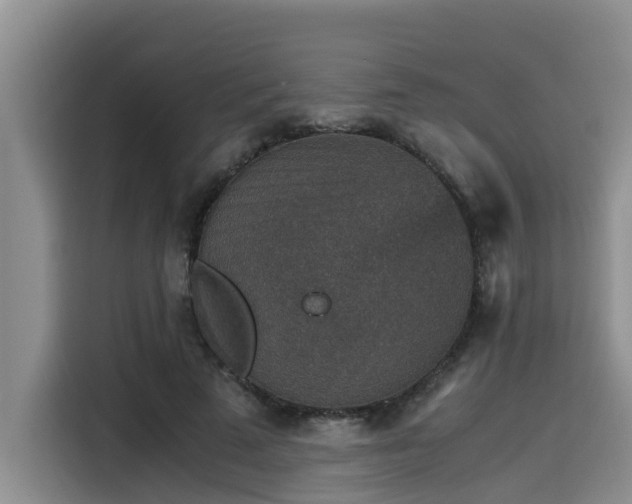 X0000115600689200911171128