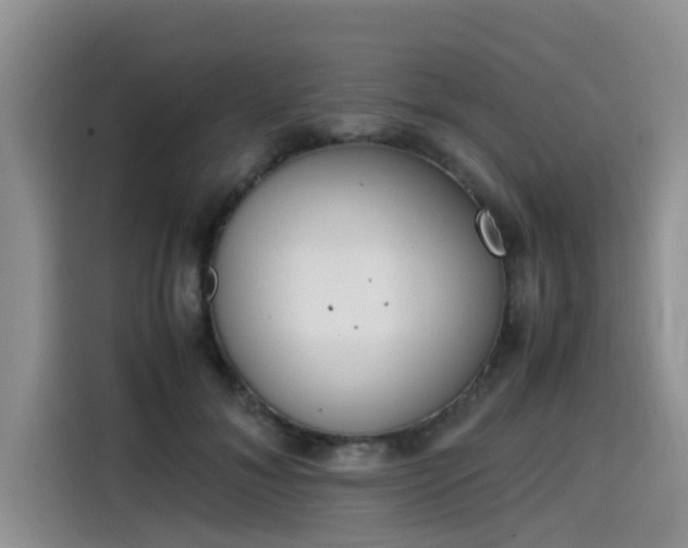 X0000115600700200911171128