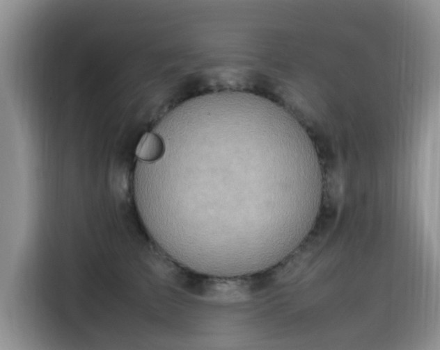 X0000115600709200911171128