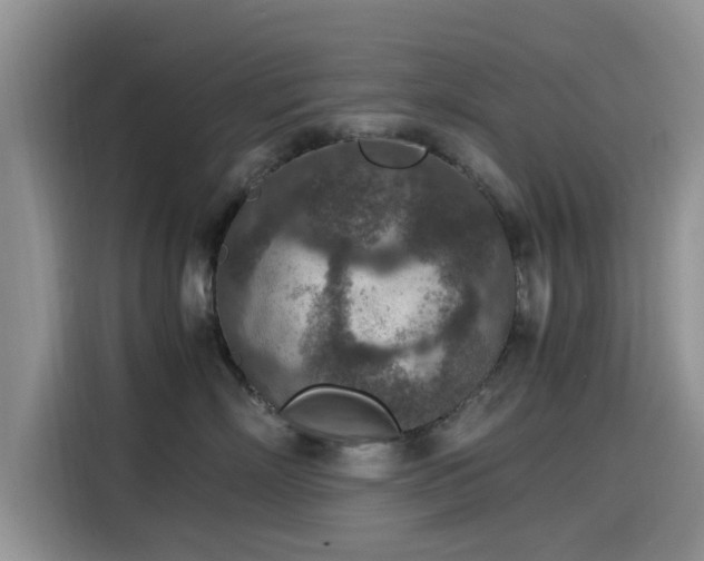 X0000115600718200911171128