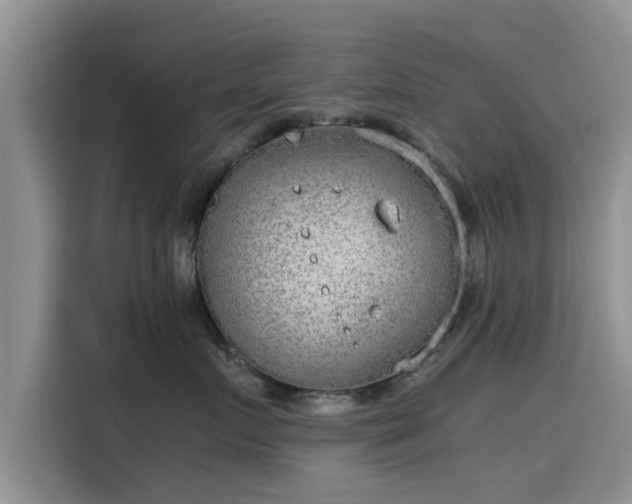 X0000115600719200911171128