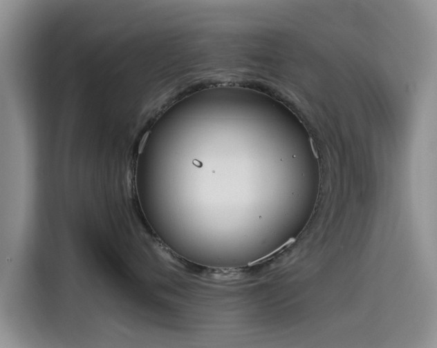 X0000115600720200911171128