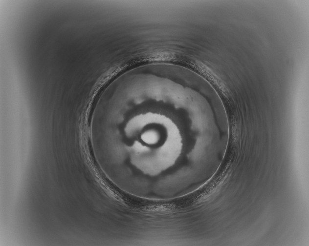 X0000115600721200911171127