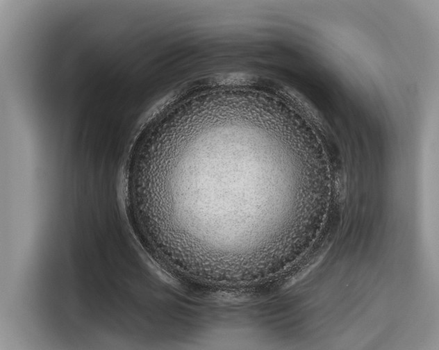 X0000115600725200911171127