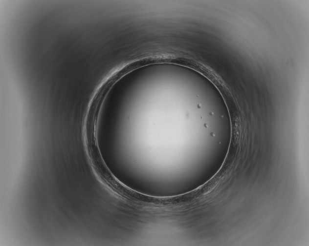 X0000115600726200911171127