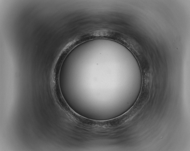 X0000115600727200911171127