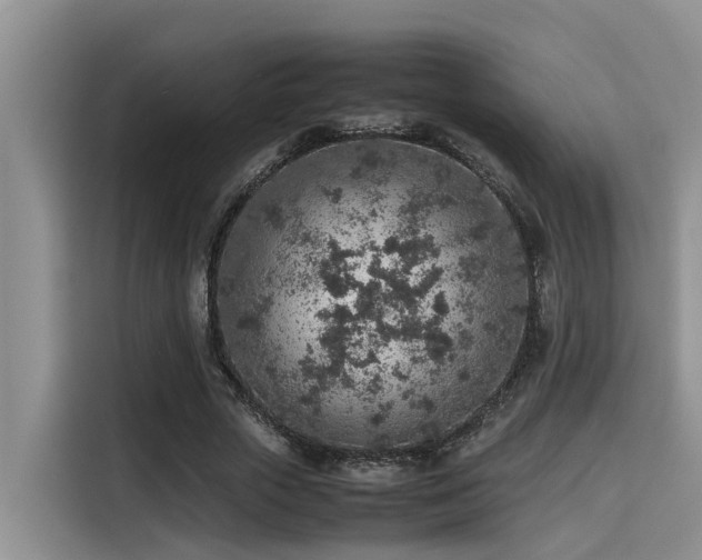 X0000115600729200911171127