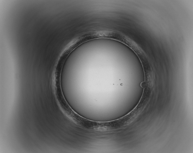 X0000115600730200911171127