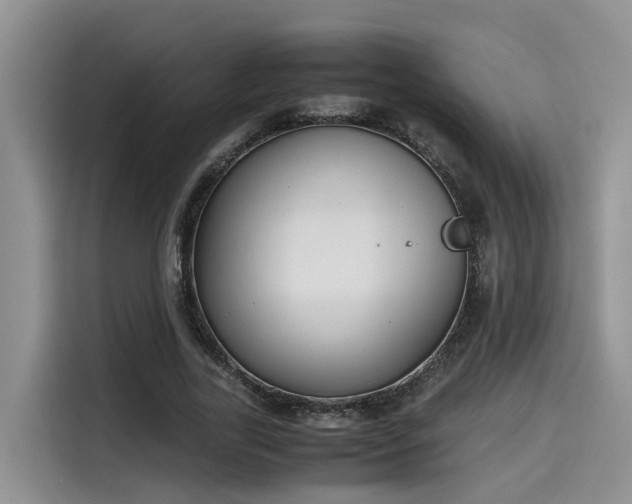 X0000115600731200911171127